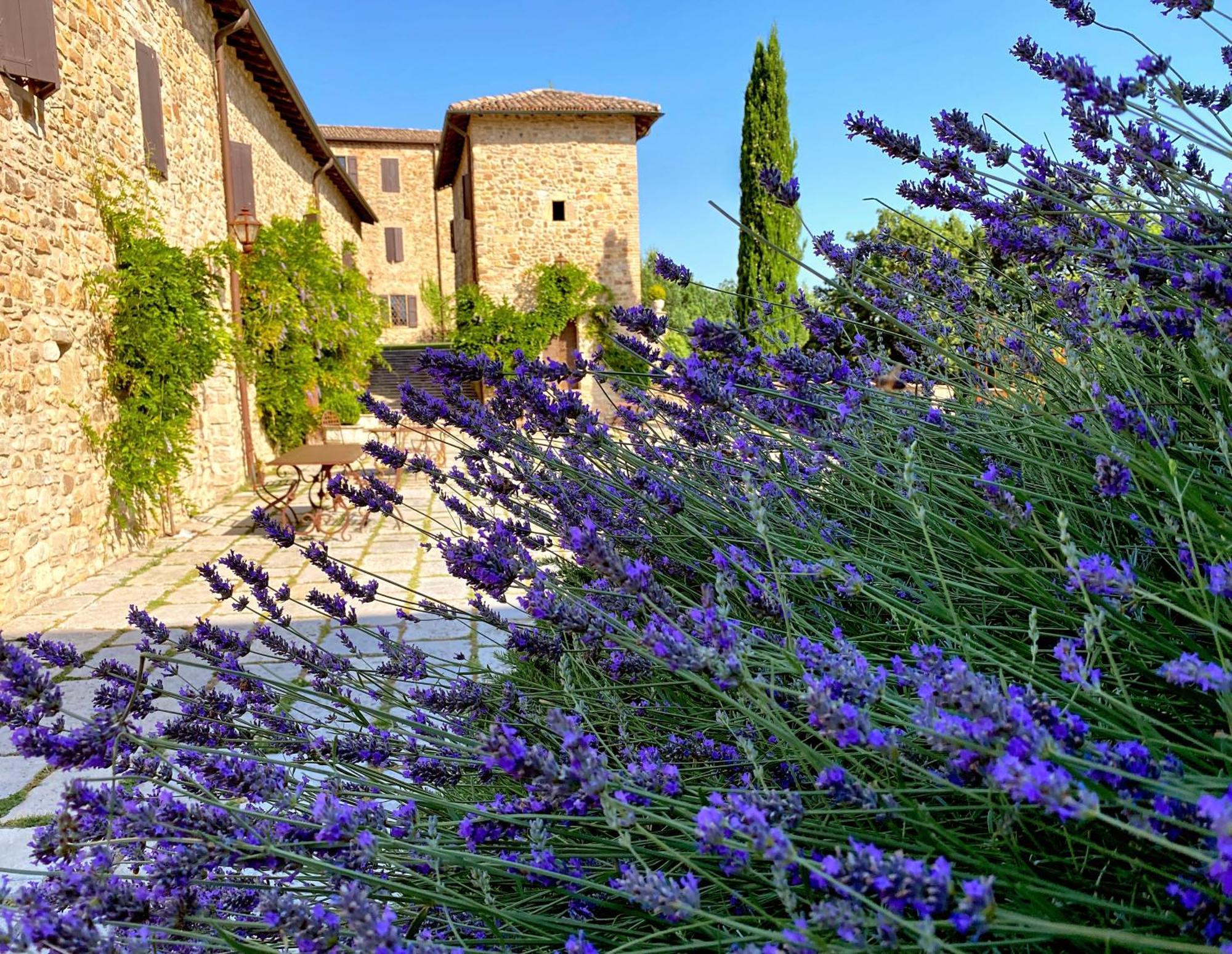 Castello Di Viano Villa Exterior photo
